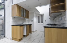 Gwernol kitchen extension leads